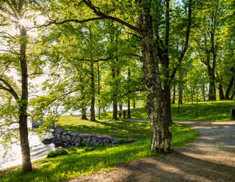 Nature et bois - Tampere (Finlande)