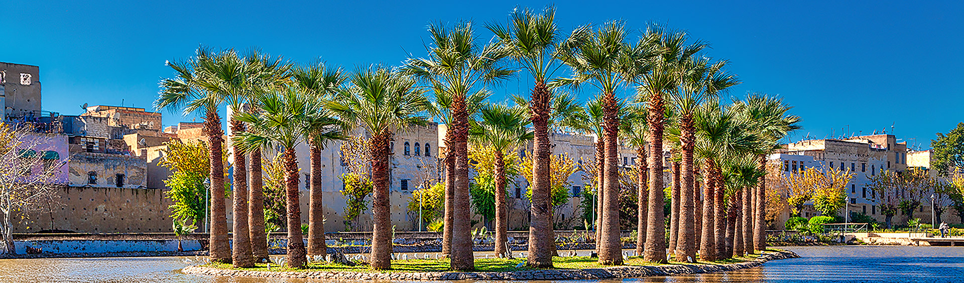 oasis à Fès (Maroc)