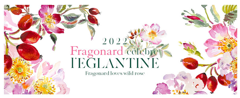 Fragonard Eglantine fleur de l'année 2022