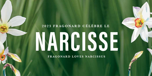 Fragonard Eglantine fleur de l'année 2022