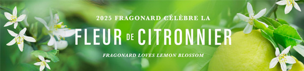 Fragonard Eglantine fleur de l'année 2025