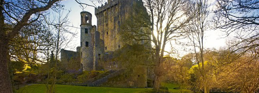 Chateau de Blarney - Cork