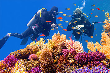 Hurghada plongée