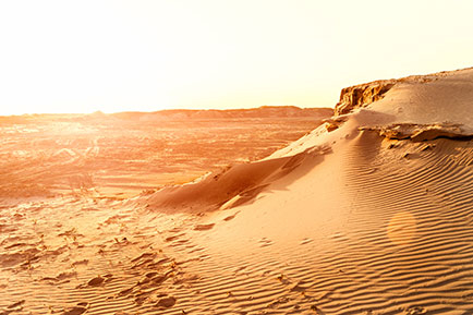 Senegal Desert